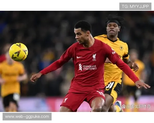 深盘分析利物浦攻防稳定性,红军主场优势明显 深盘分析利物浦攻防稳定性,红军主场优势明显